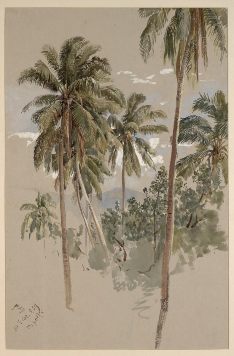 Josef Selleny, Kokospalmen auf Tahiti, Inv. Nr.: 28969