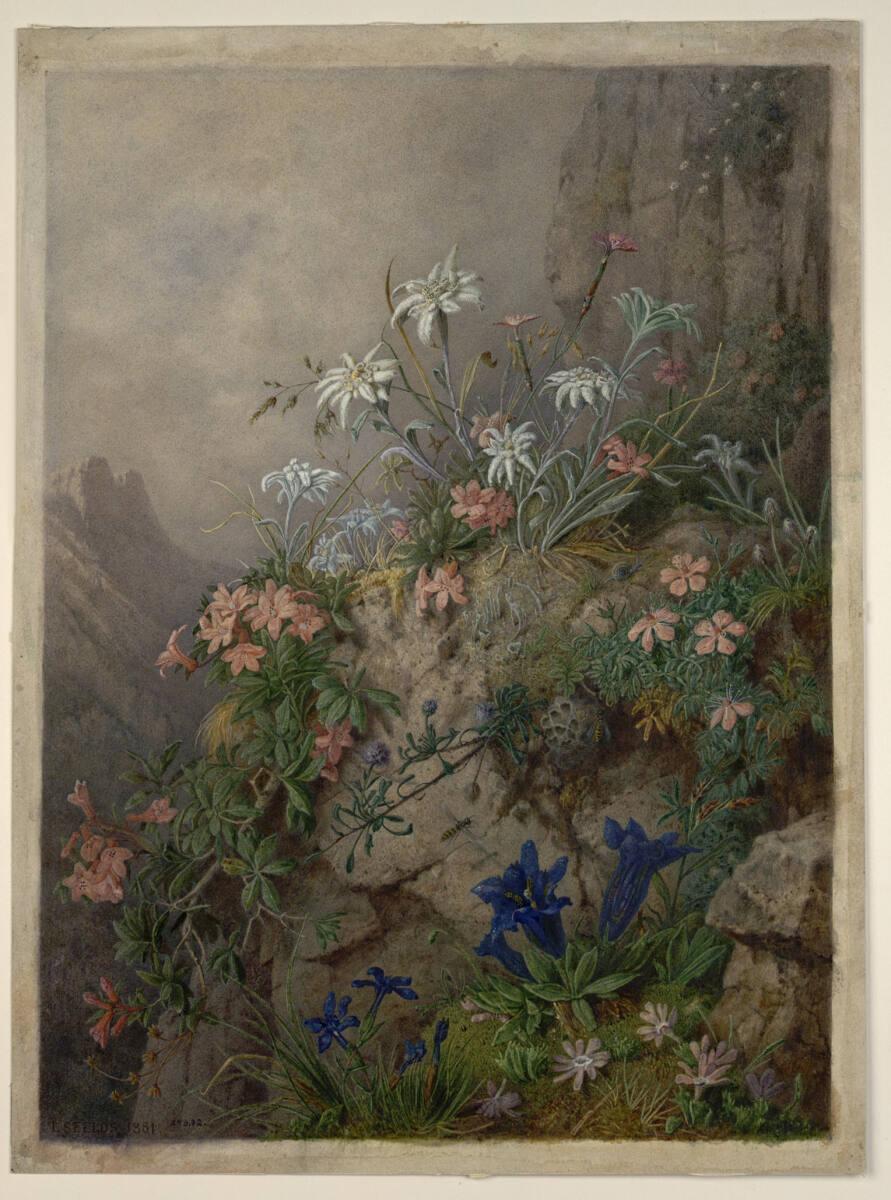 Ignaz Seelos, Alpenblumen, Inv. Nr.: 28972