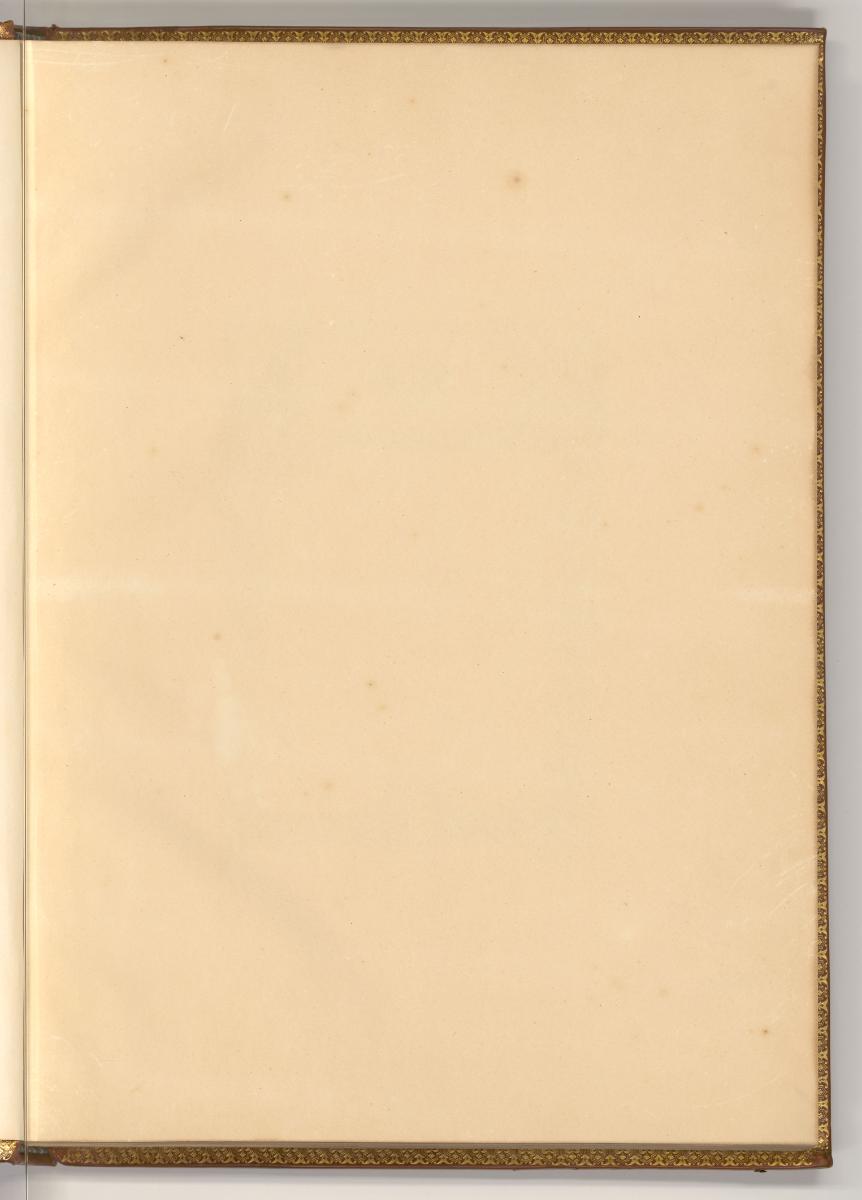 Corneille Galle le jeune, Leerseite, Inv. Nr.: Holland nach Sektionen I/58, H/I/58/0/5/LS