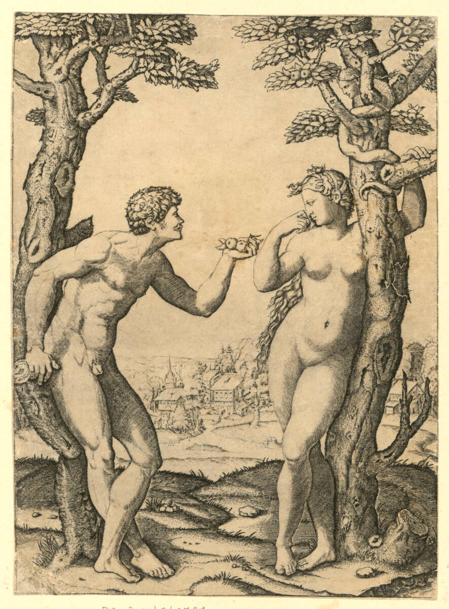 Adam und Eva, Raphael