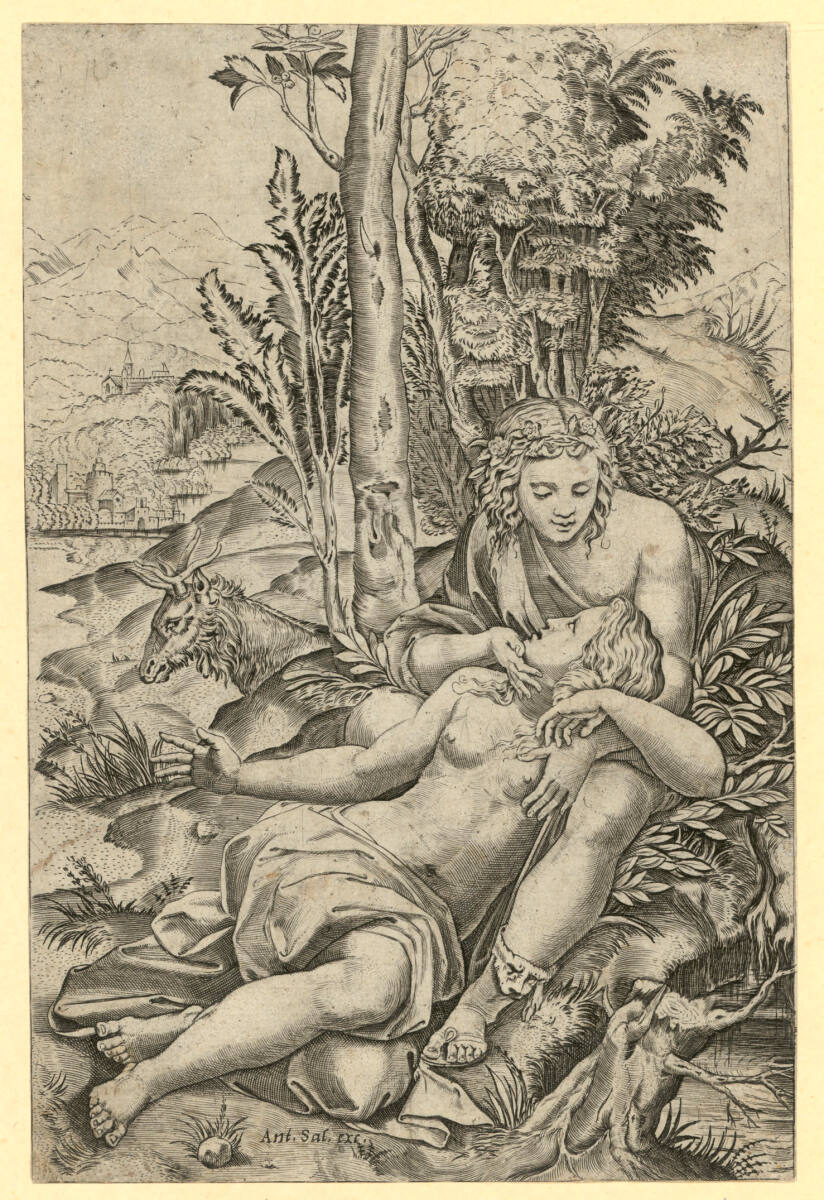 Venus und Adonis