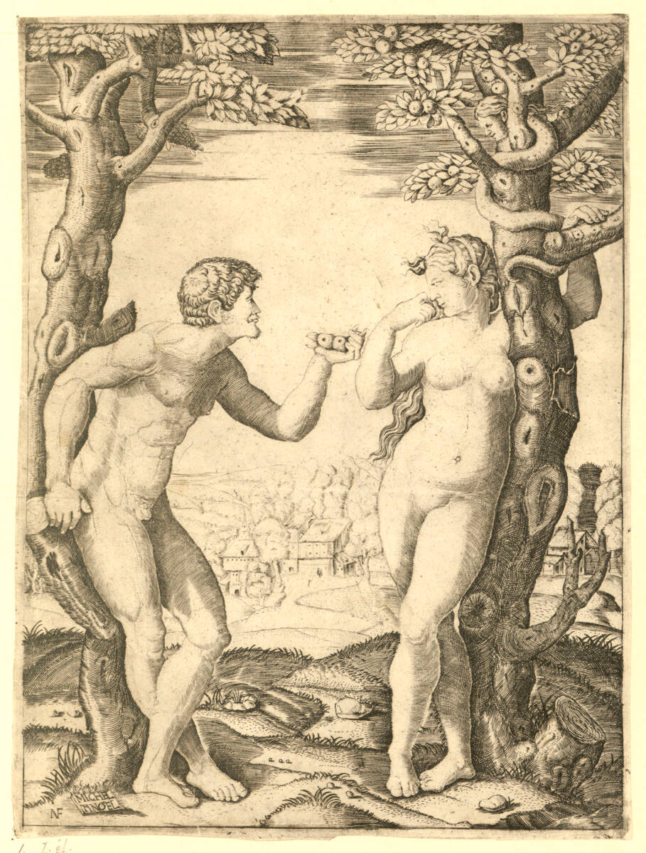 Adam und Eva, unbestimmt, 1500–1550