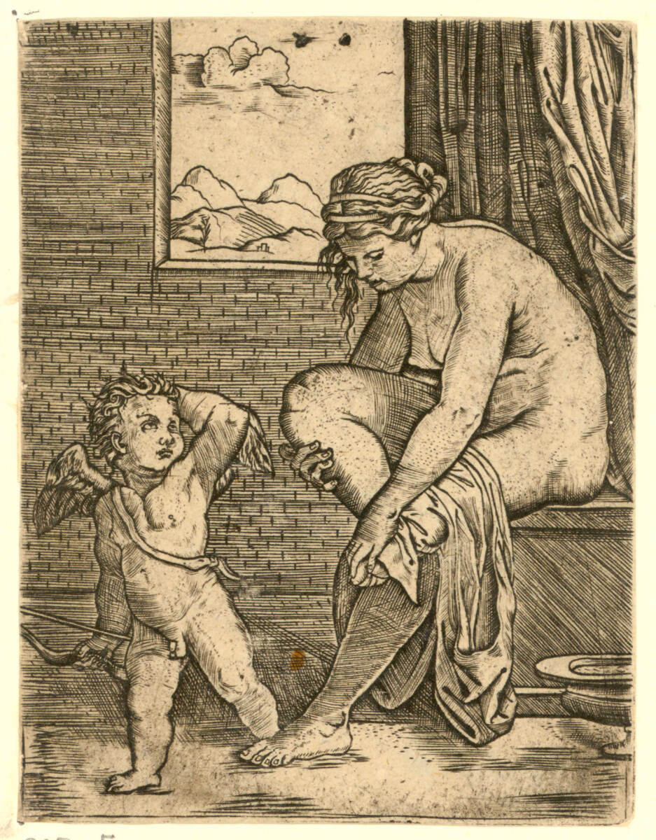 Venus nach ihrem Bad, unbestimmt, 1500–1530