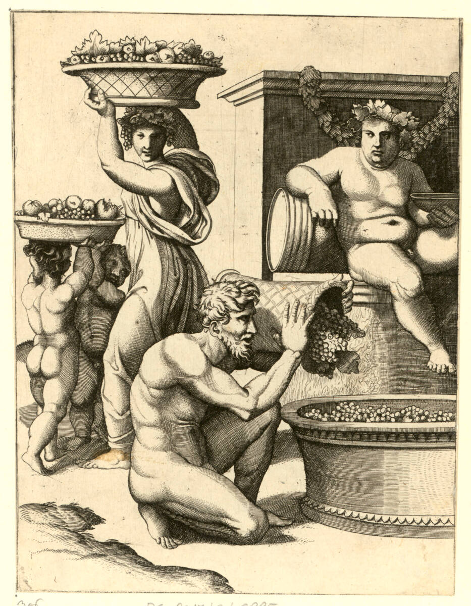Die Traubenlese, unbestimmt, 1515–1520