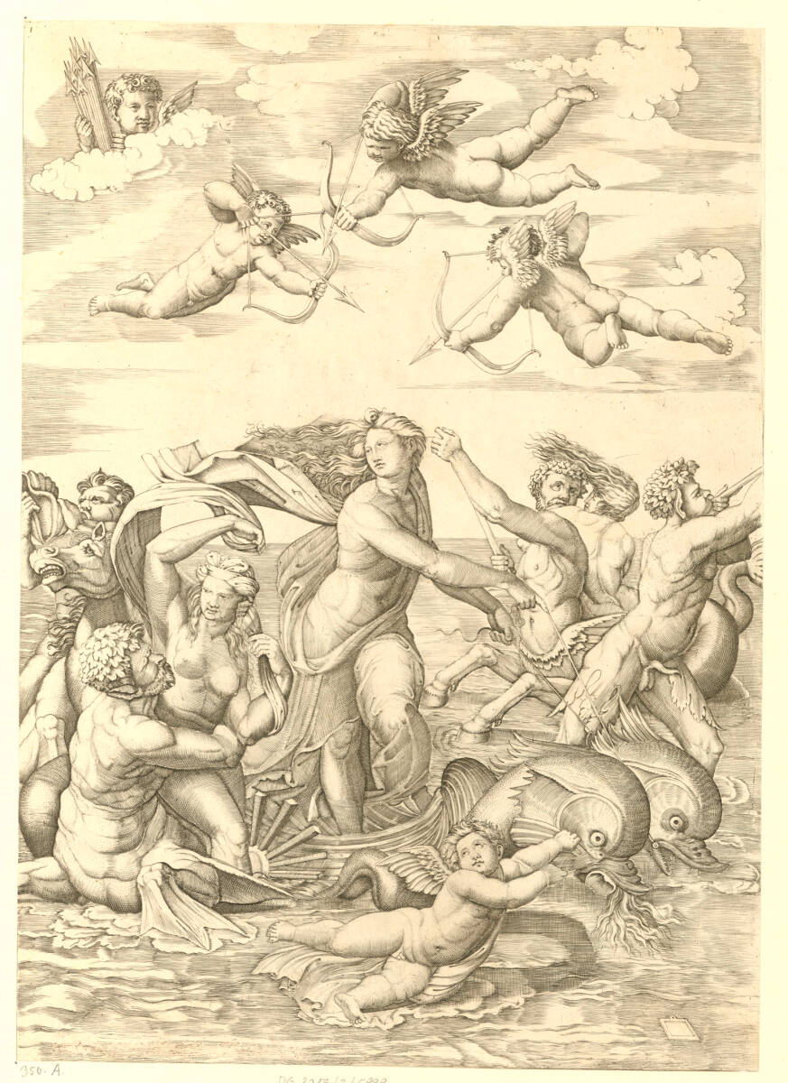 Triumph der Galathea, unbestimmt, 1514–1527