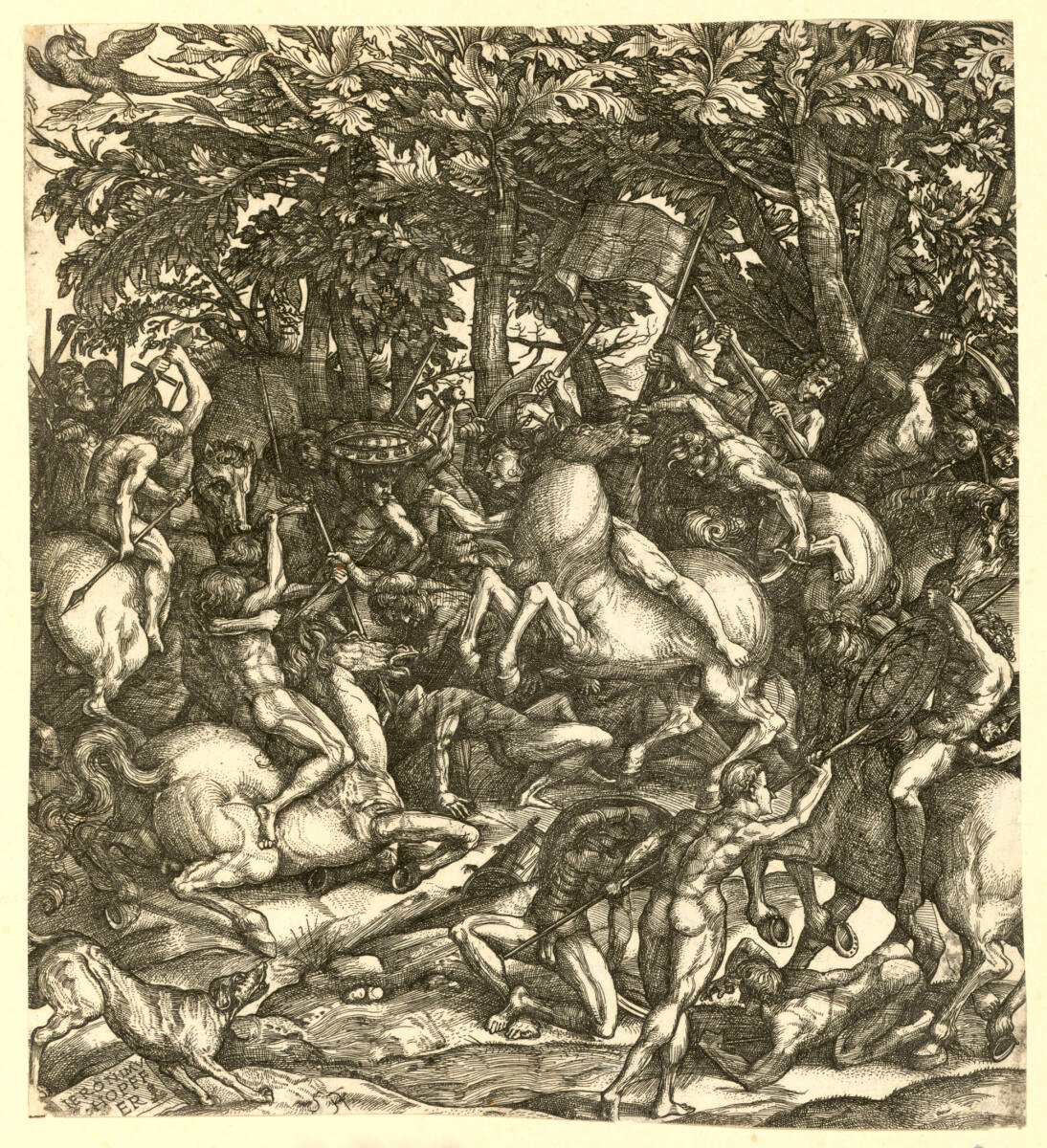 Kampf nackter Männer, 1528–1563