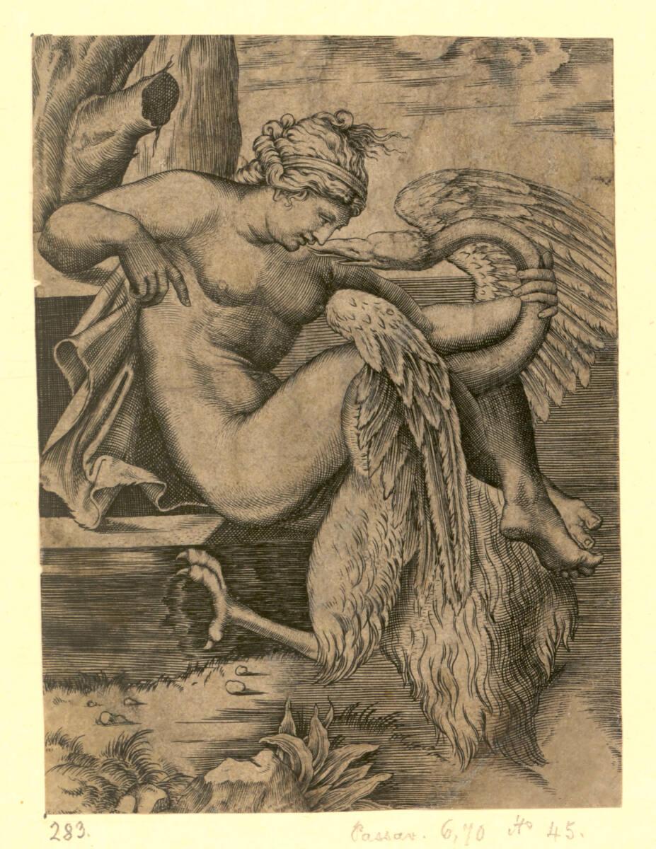Leda, Inv. Nr.: DG2017/3/7102