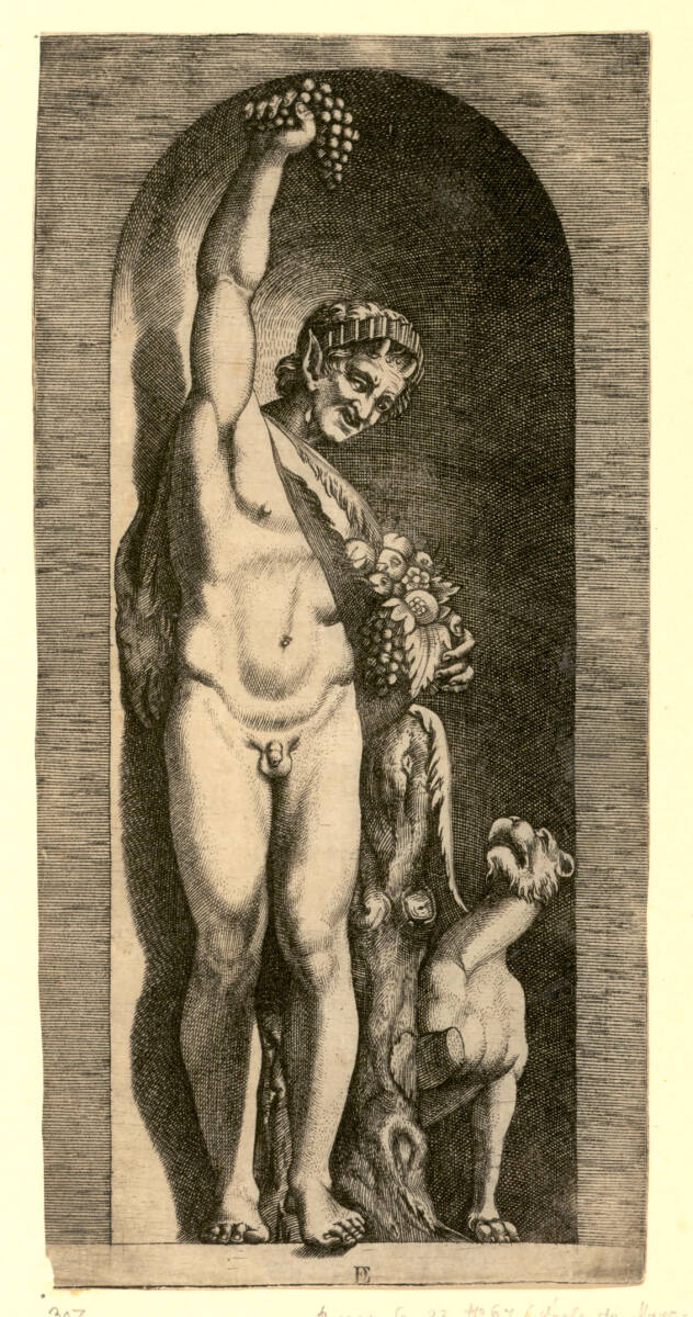 Faunus, unbestimmt, 1510–1527