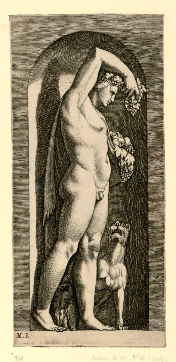 unbestimmt, Bacchus, Inv. Nr.: DG2017/3/7108