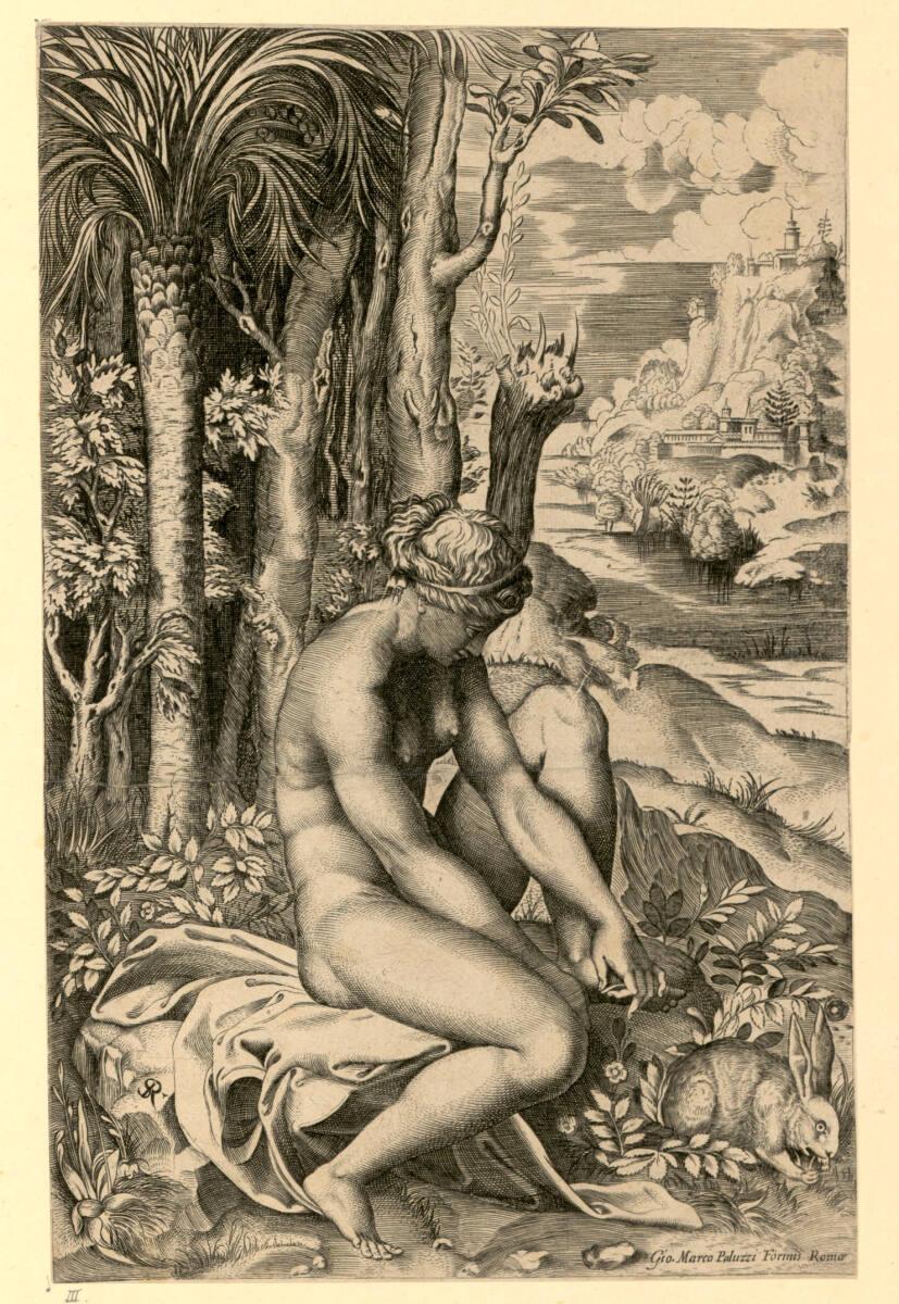 Venus zieht sich einen Dorn aus dem Fuß, Inv. Nr.: DG2017/3/7111