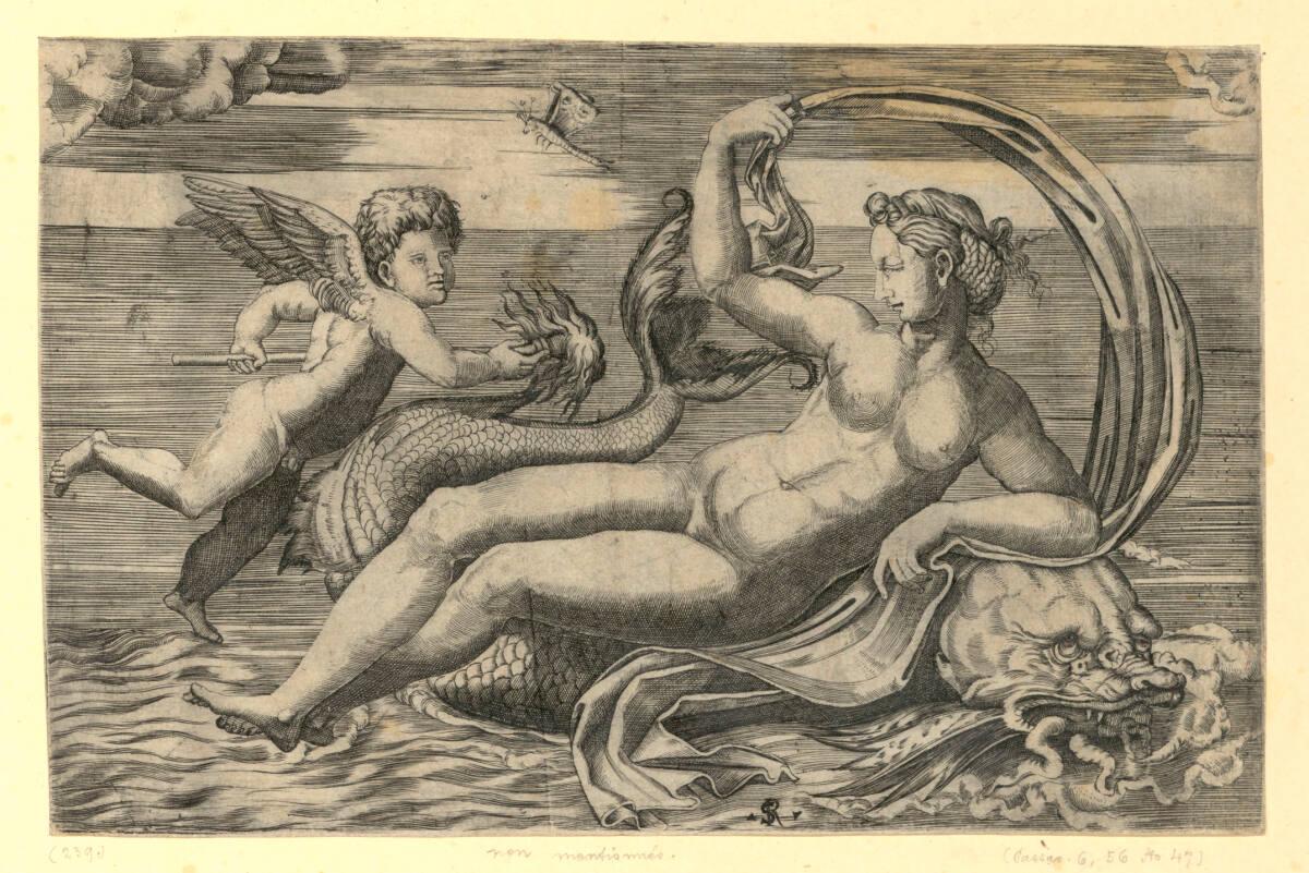 unbestimmt, Venus auf einem Delphin liegend, Inv. Nr.: DG2017/3/7115