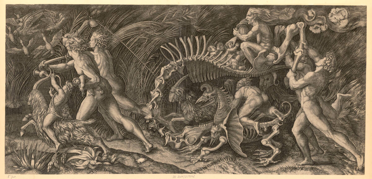 Die Karkasse, 1510–1536