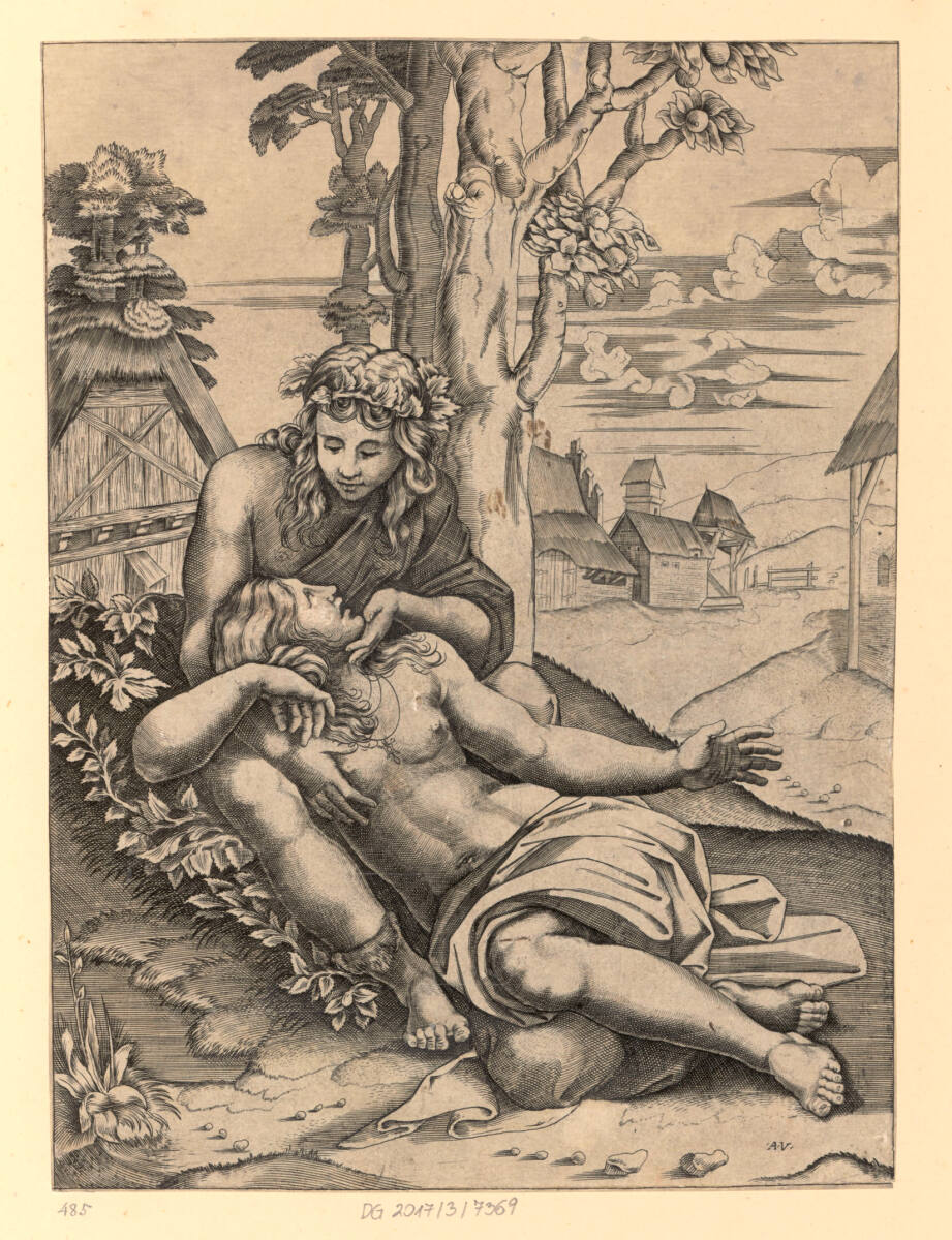 Venus und Adonis, 1515–1530