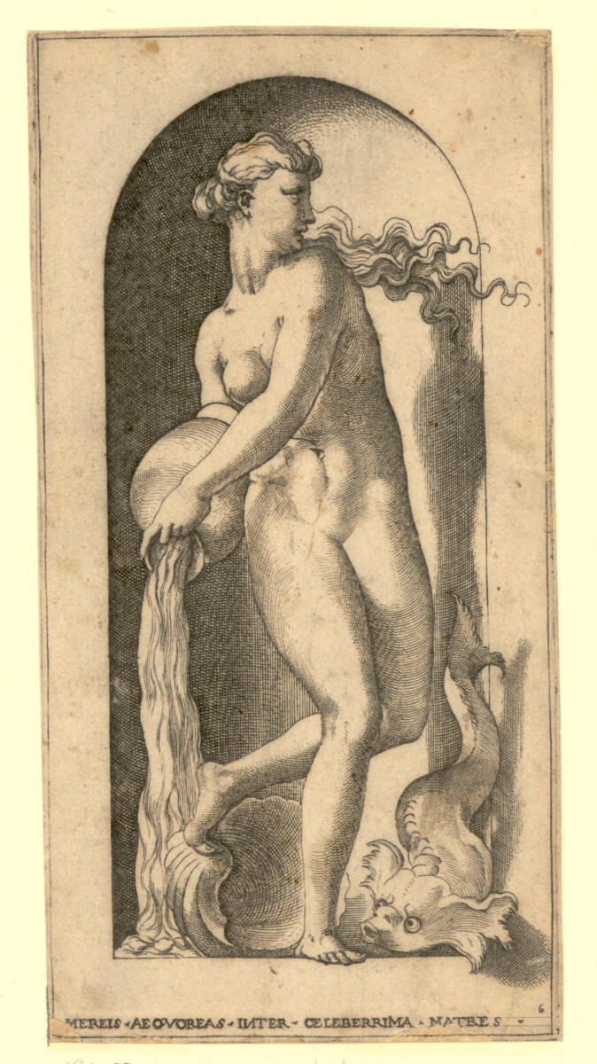 Thetis, Rosso Fiorentino, 1526