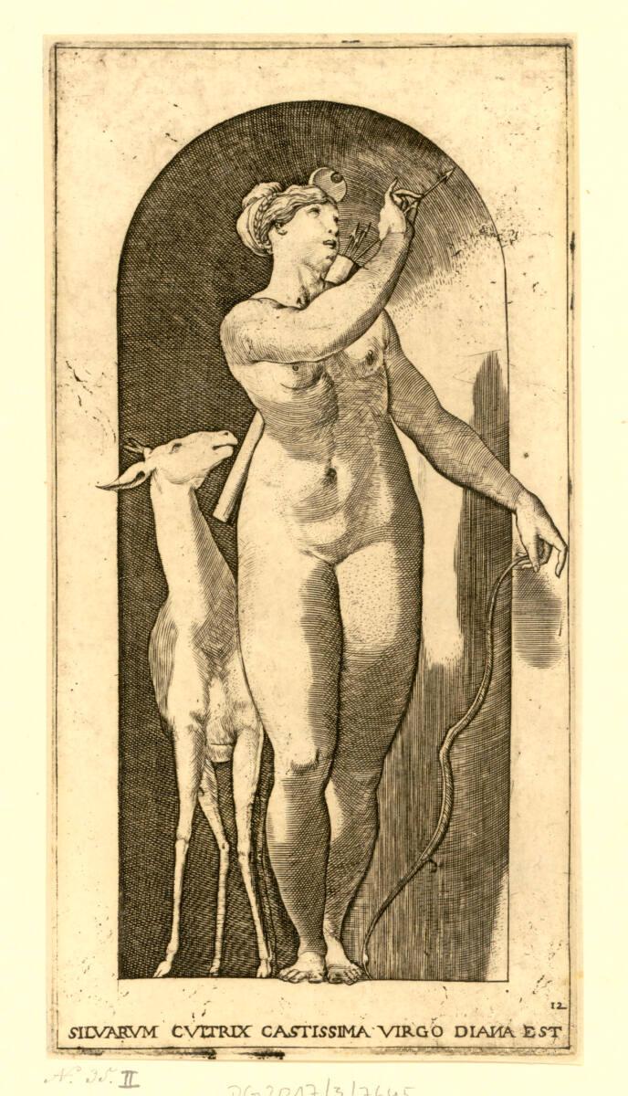 Diana, Inv. Nr.: DG2017/3/7645