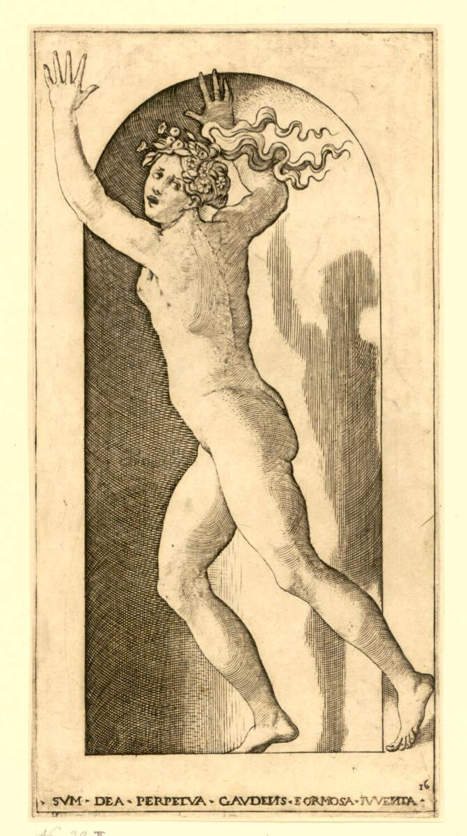 Hebe, Inv. Nr.: DG2017/3/7649