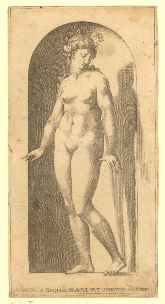 Ariadne, Rosso Fiorentino, 1526