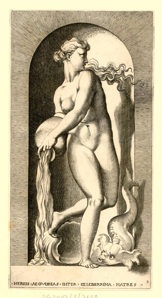 Thetis, Inv. Nr.: DG2017/3/7659