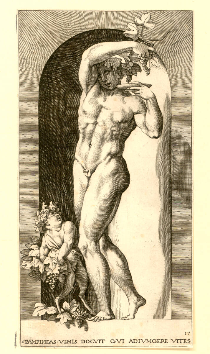 Bacchus, 1526–1624