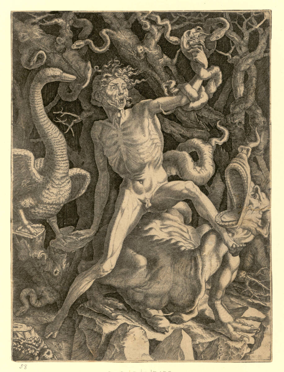 Wut, Rosso Fiorentino, 1520–1539