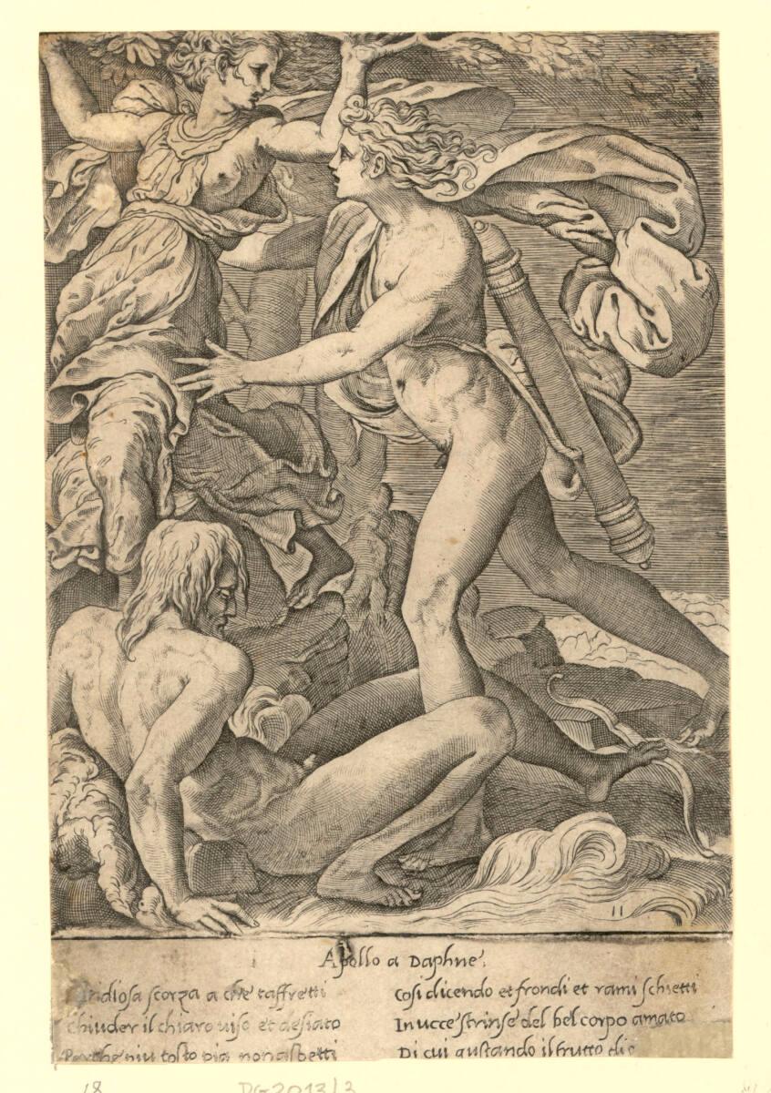Apollo und Daphne, Inv. Nr.: DG2013/3