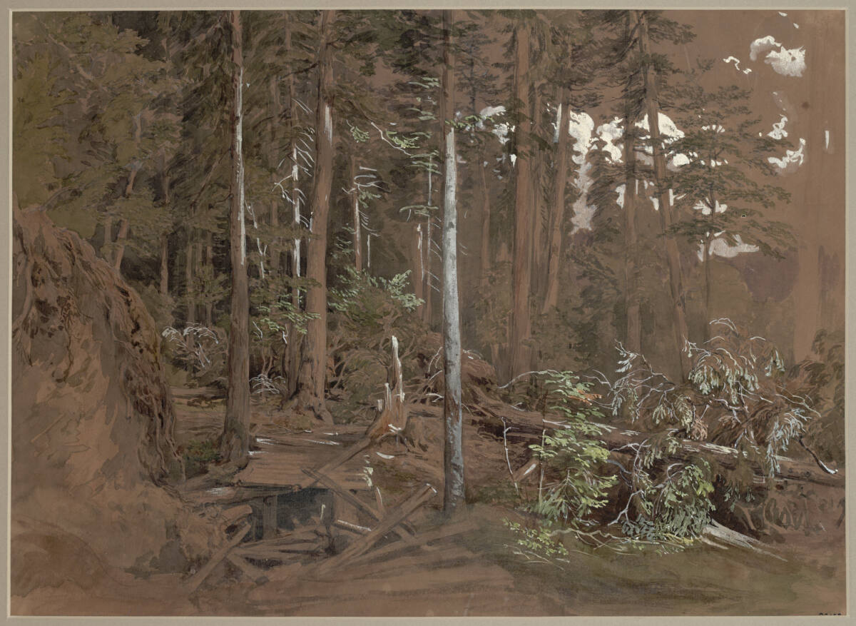 Im Neuwald Urwald, Joseph Höger, 1856