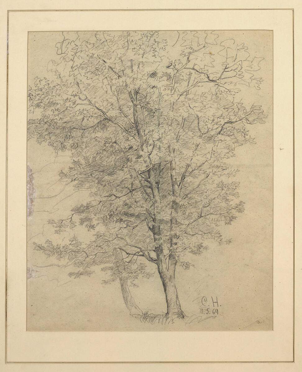 Baumstudie, Karl Hagemeister, 19th century