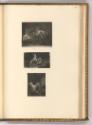 Michiel Gillig; Michiel van Musscher; Jan van der Vaart; Jan Verkolie; Thomas van der Wilt; Nic…