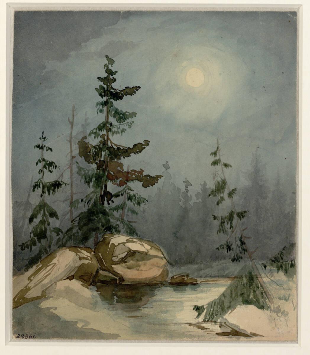 Alexandre Calame, Wettertannen an einem Gebirgsbach im Mondschein, Inv. Nr.: 29361r