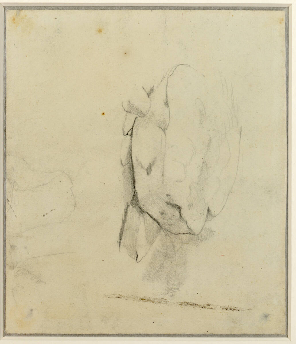 Felsstudie, Alexandre Calame, 1849–1854