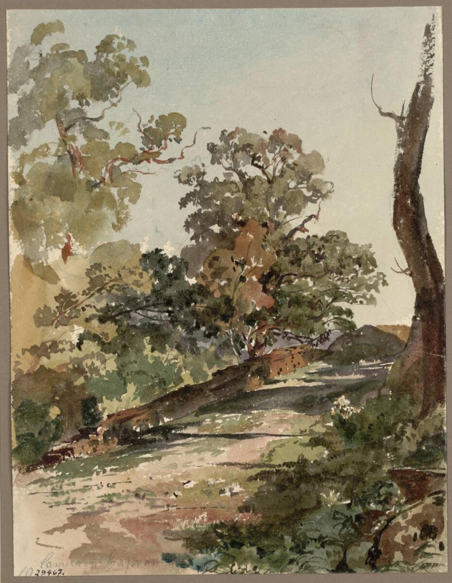 Thomas Ender, Landschaft, Inv. Nr.: 29467