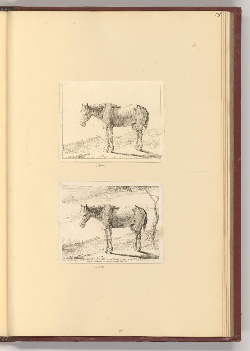 Ploos van Amstel, Jean Chalon, B. H. Thier, H. G. Schweickhardt, Pferd, Inv. Nr.: Holland nach …