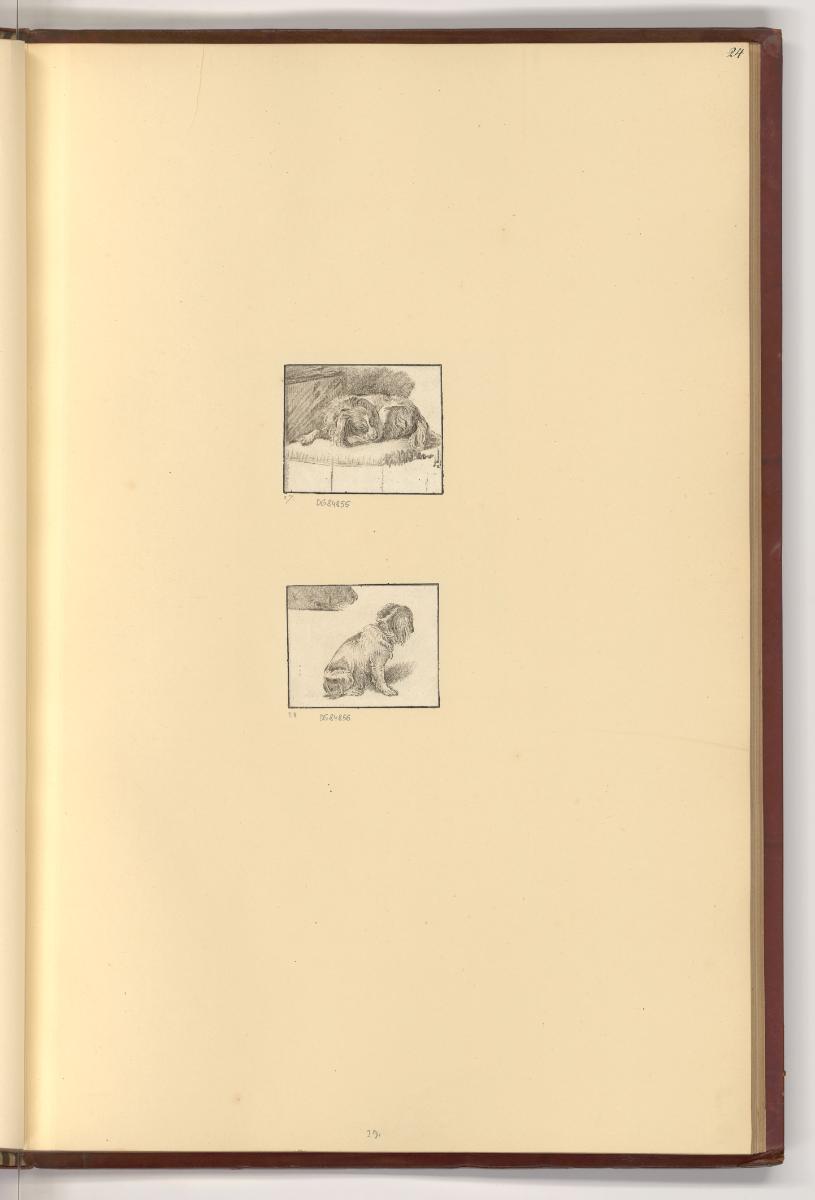 Ploos van Amstel, Jean Chalon, B. H. Thier, H. G. Schweickhardt, Schlafender Hund; Sitzender Hu…