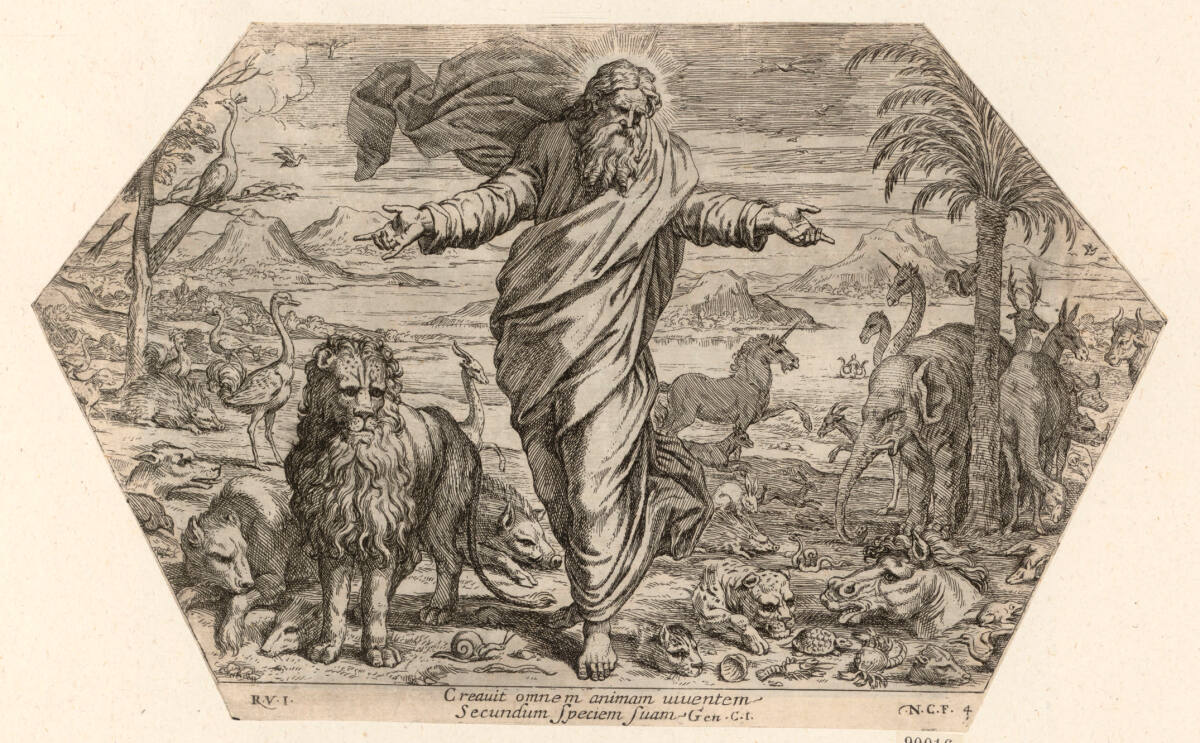 Schöpfung der Tiere, Raphael, 1649