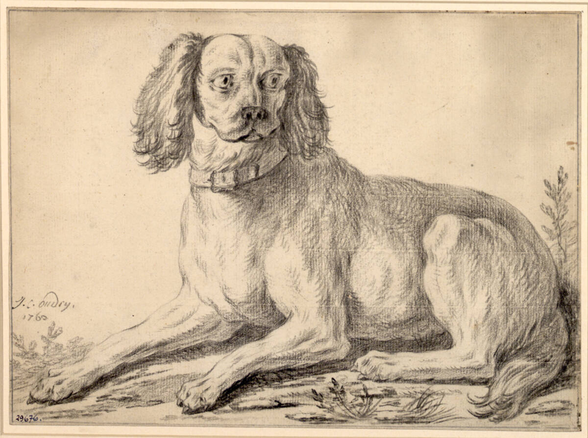 Studie eines Hundes, 1760