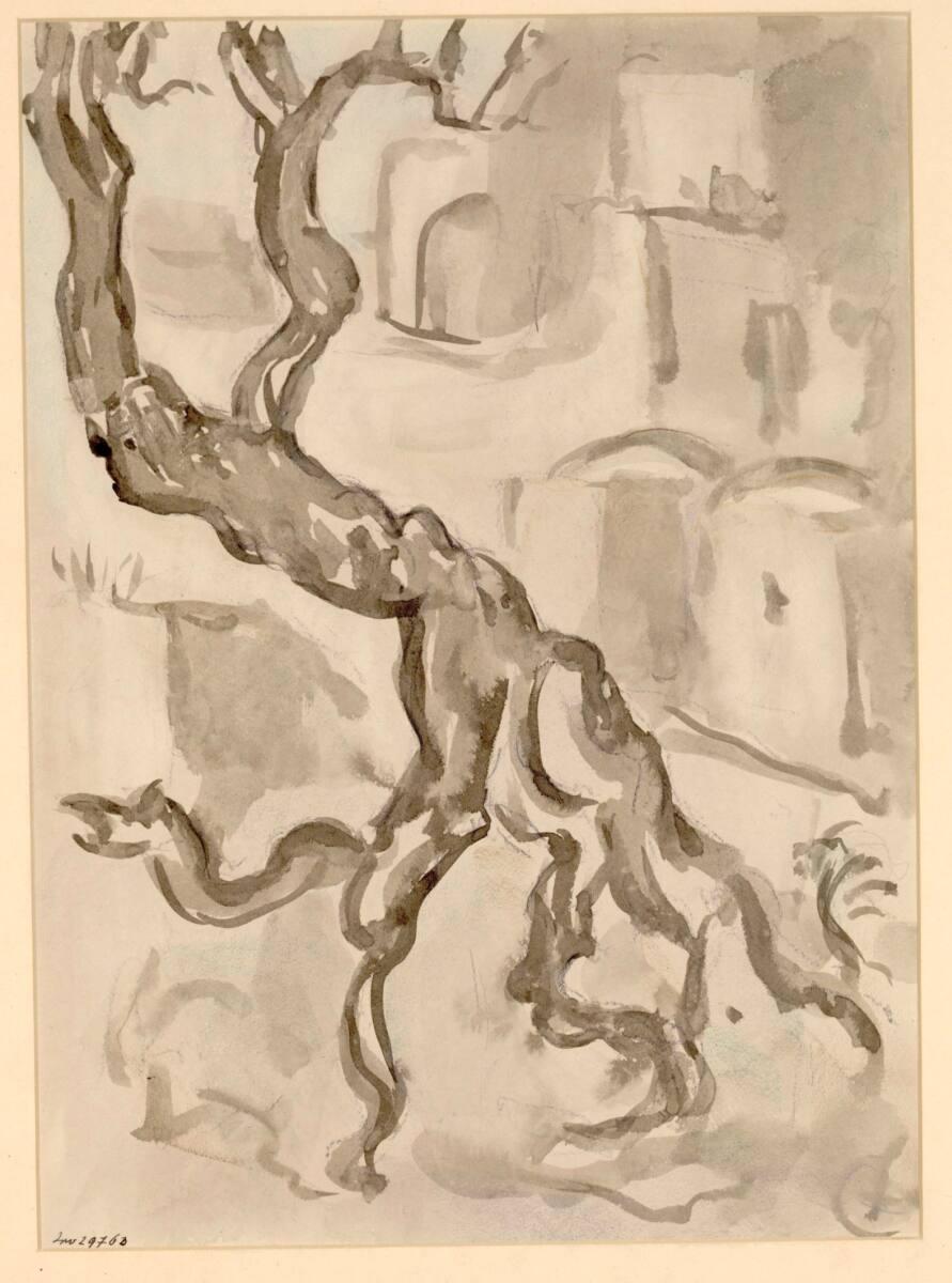Ernst Wagner, Baumstudie, Inv. Nr.: 29763
