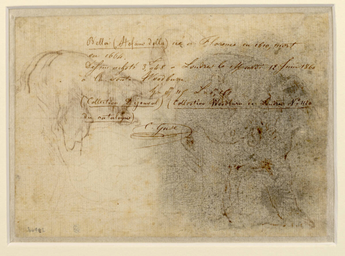 Elefantenstudien, Stefano della Bella