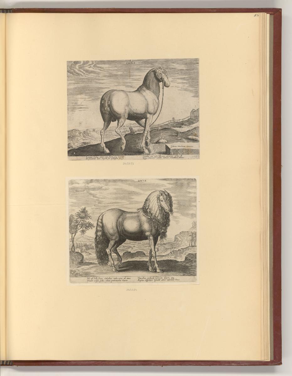 Jean Stradanus ou van der Straet Vol II., Pferde, Inv. Nr.: Holland nach Sektionen II/11, H/II/…