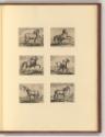 Jean Stradanus ou van der Straet Vol II., Pferde, Inv. Nr.: Holland nach Sektionen II/11, H/II/…