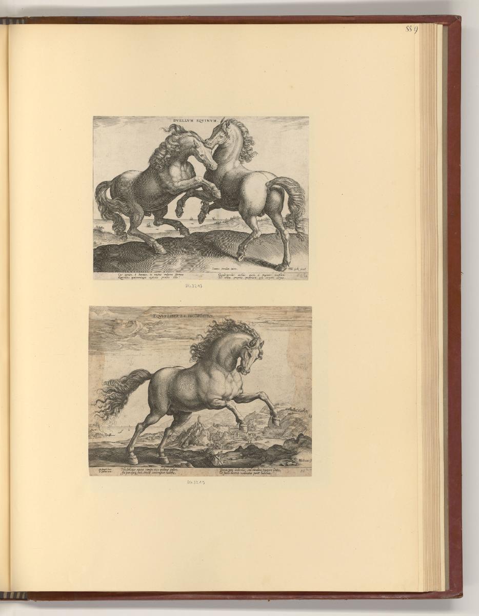 Jean Stradanus ou van der Straet Vol II., Pferde, Inv. Nr.: Holland nach Sektionen II/11, H/II/…