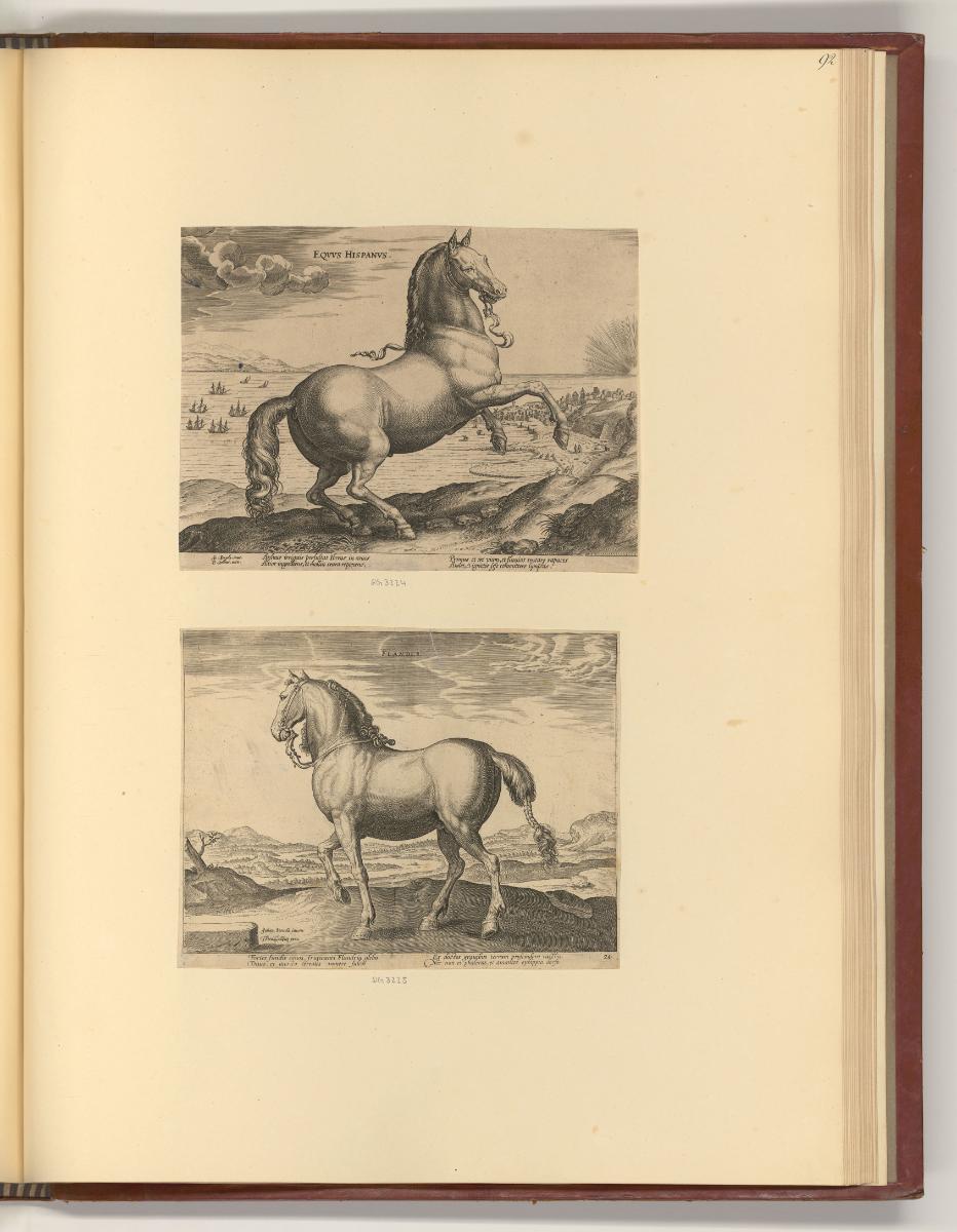 Jean Stradanus ou van der Straet Vol II., Pferde, Inv. Nr.: Holland nach Sektionen II/11, H/II/…