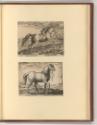 Jean Stradanus ou van der Straet Vol II., Pferde, Inv. Nr.: Holland nach Sektionen II/11, H/II/…