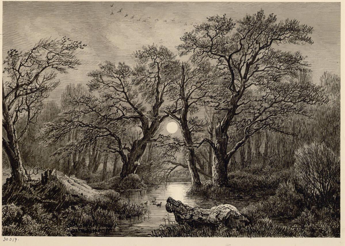 Carl Max Krüger, Auwald Mondschein, Inv. Nr.: 30017