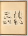 Pierre Paul Rubens Vol. III. Pièces gravées par Pontius - Lauwers, Voet - Marinus, Balliu et Sn…
