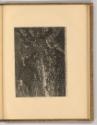 Pierre Paul Rubens Vol. VII. Pièces par des Graveurs du dix-septieme Siècle, Sturmlandschaft, I…