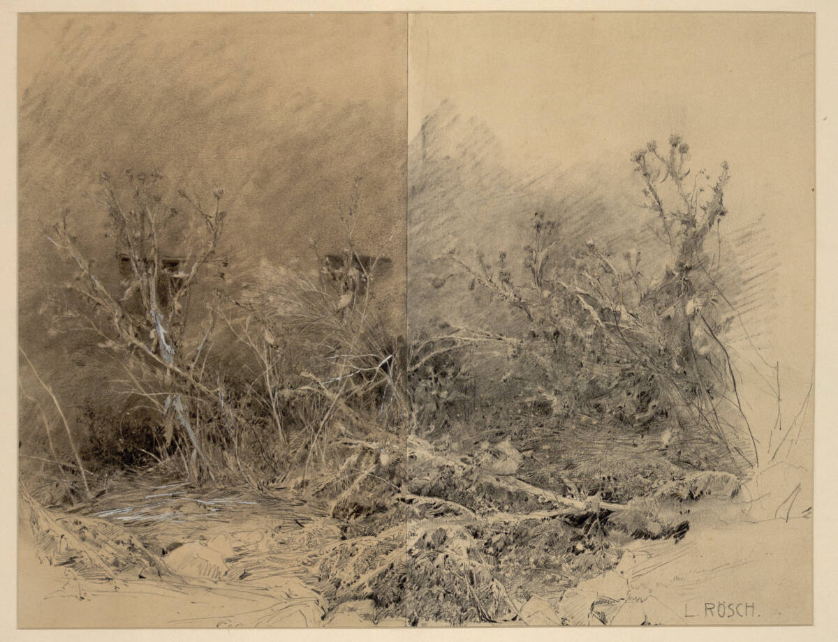 Gestrüpp mit Disteln und Baumstümpfen, Ludwig Rösch