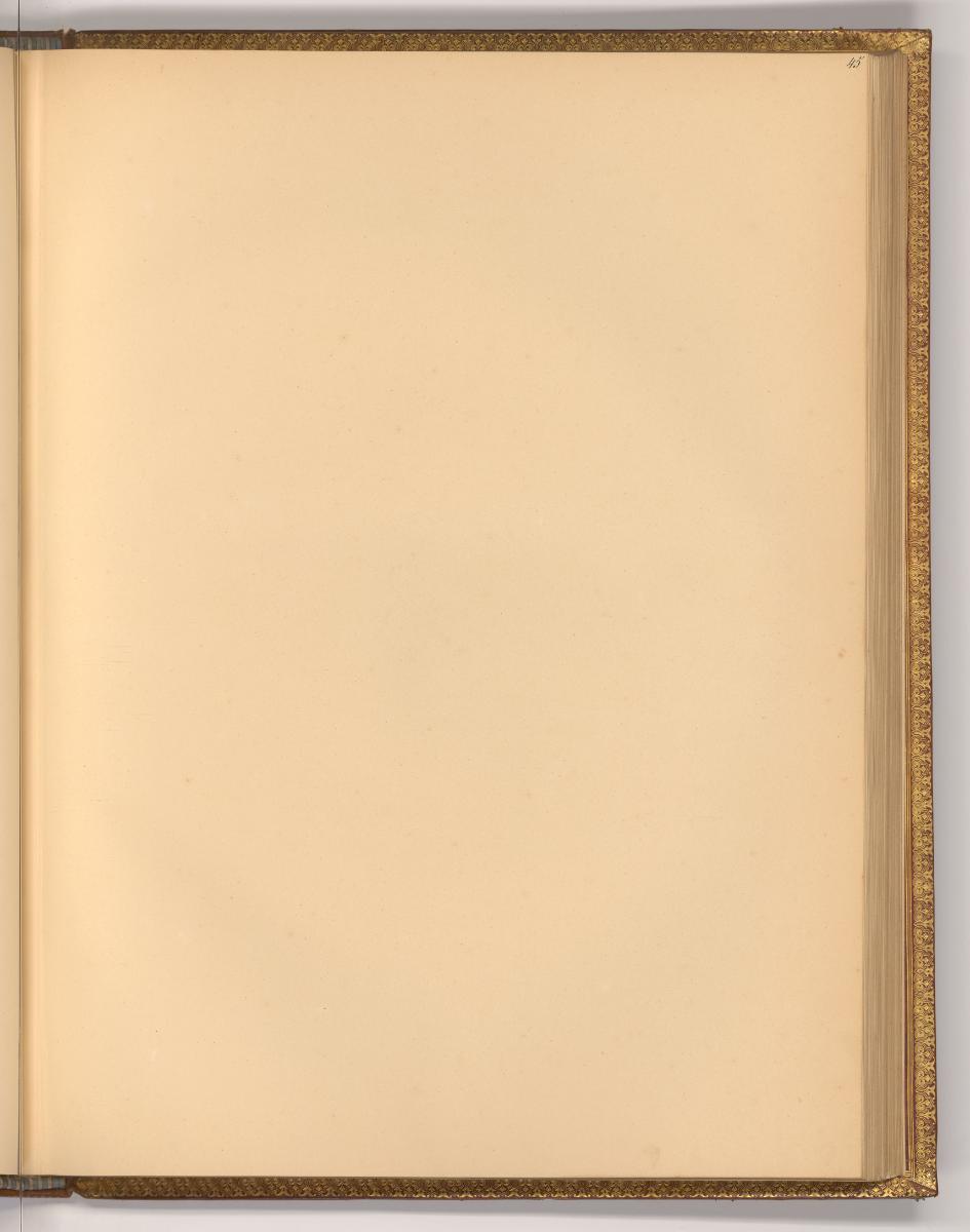 Pierre Paul Rubens Vol. IX. Par différens graveurs du XVIII. Siècle., Leerseite, Inv. Nr.: Holl…