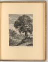 W. Coeberger; I. de Momper; L. de Vadder; A. de Coster; P. van Mol; F. Snyders; A. Sallaert; F.…