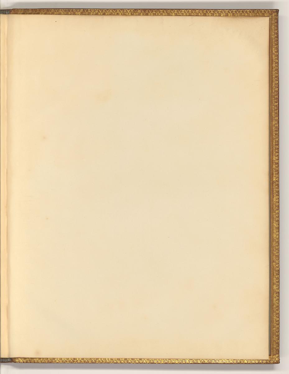 Jacques Jordaens, Fliegendes Blatt hinten, Inv. Nr.: Holland nach Sektionen II/29, H/II/29/333/…