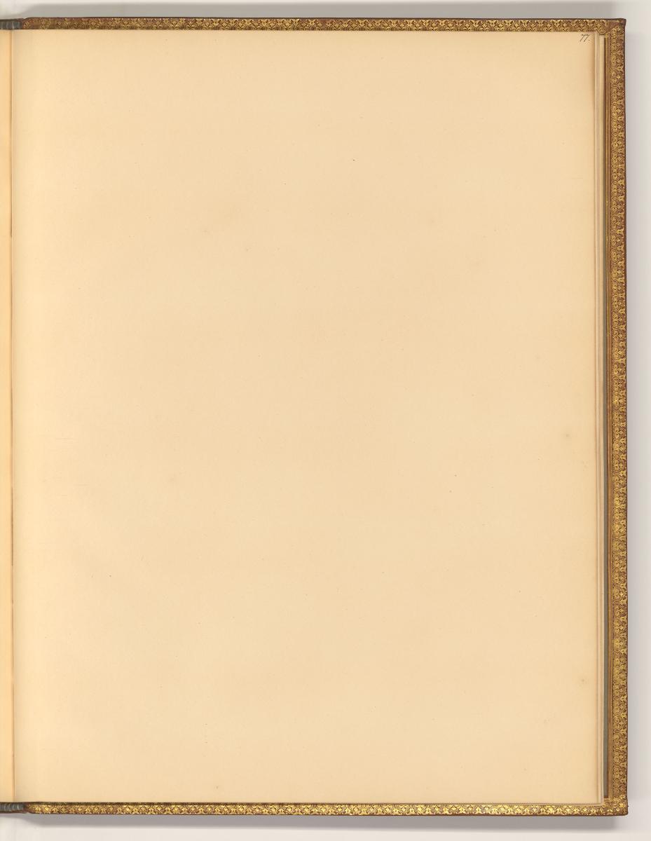 Jacques Jordaens, Leerseite, Inv. Nr.: Holland nach Sektionen II/29, H/II/29/77